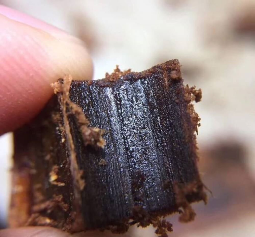 Trầm Hương Chính Hãng hàng Thật